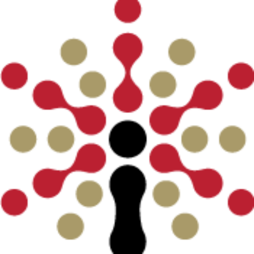 Linked Information Network of Colorado color icon logo